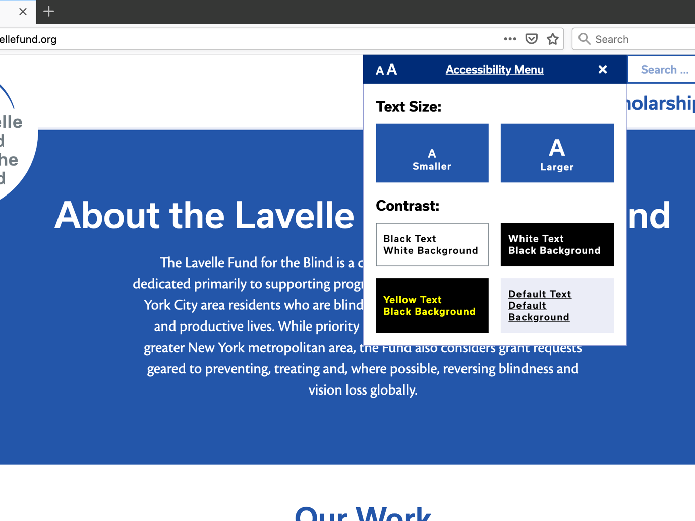 Accessibility menu on the website.